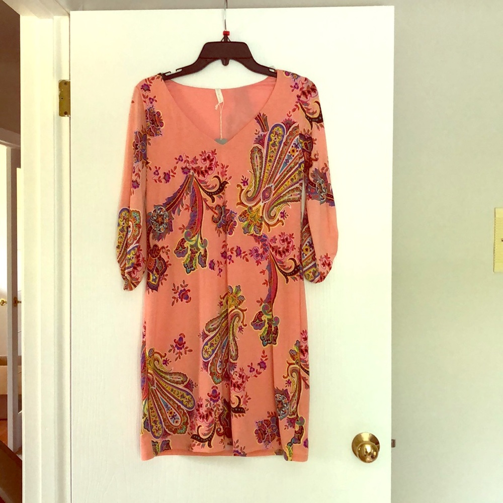 NWT Pinkblush dress